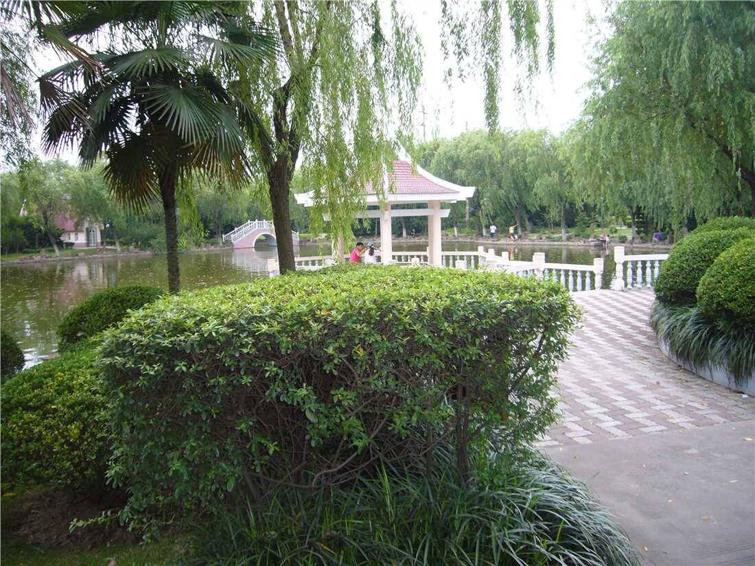 马陆公园2.jpg