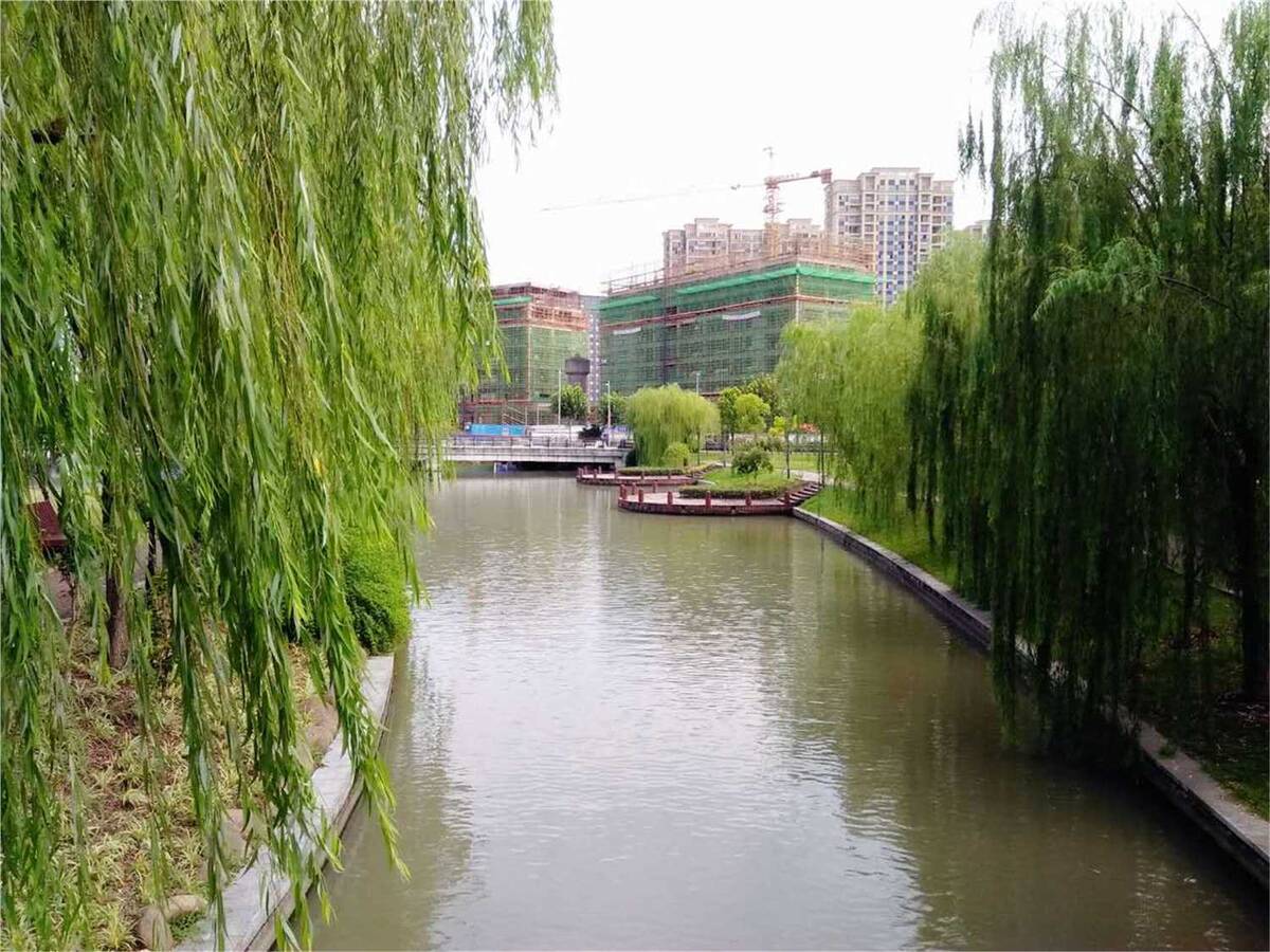 盘驼子公园1.jpg