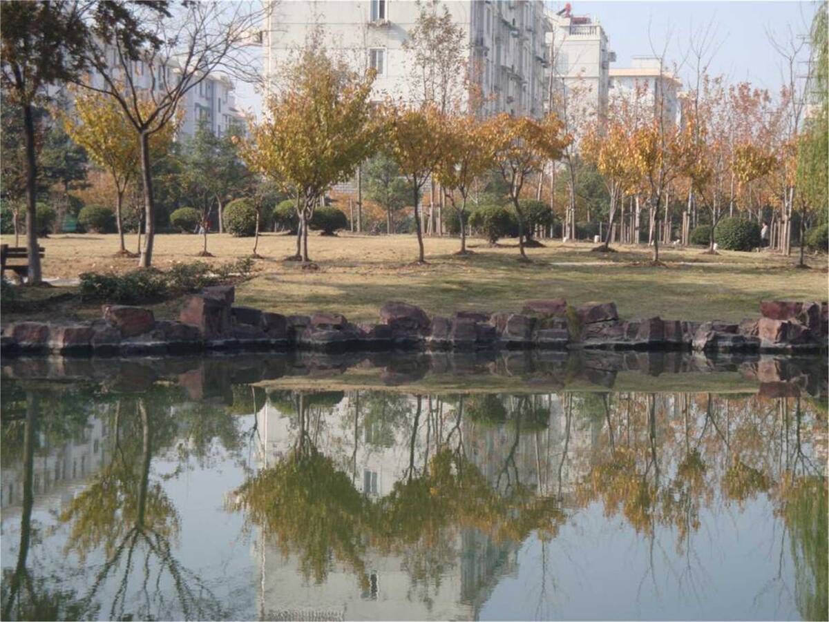 新成公园1.jpg