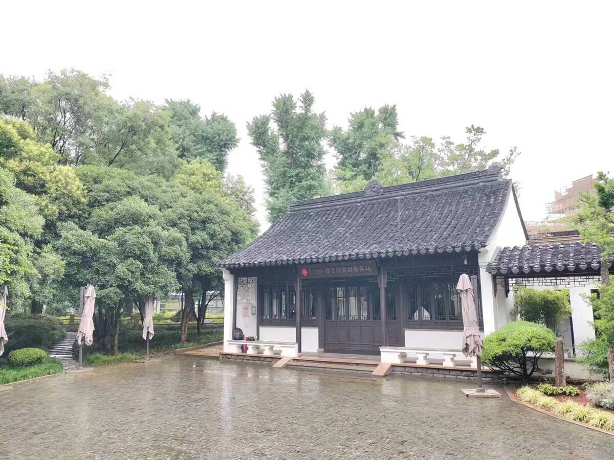 小河口银杏园1.jpg