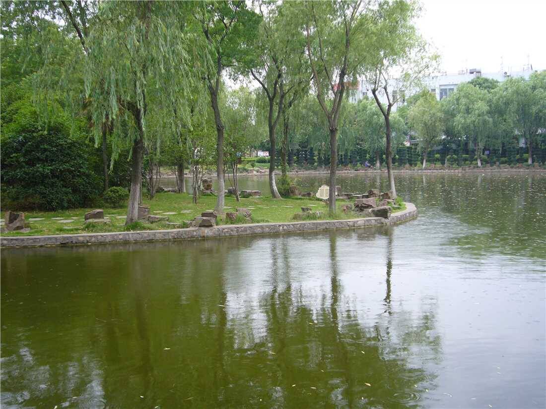 马陆公园1.jpg