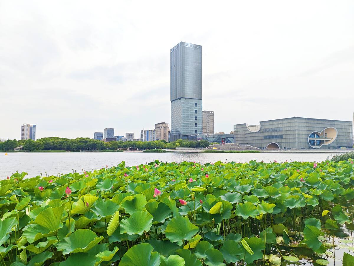 远香湖公园1.jpg