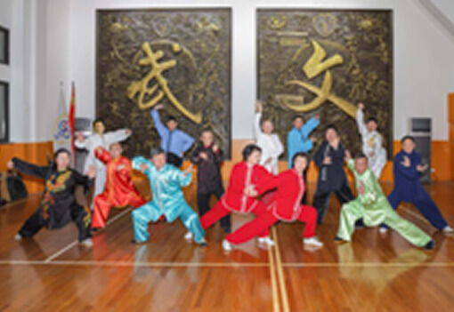 精武武术