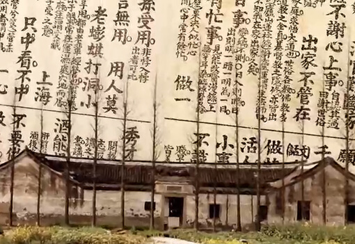 沪谚