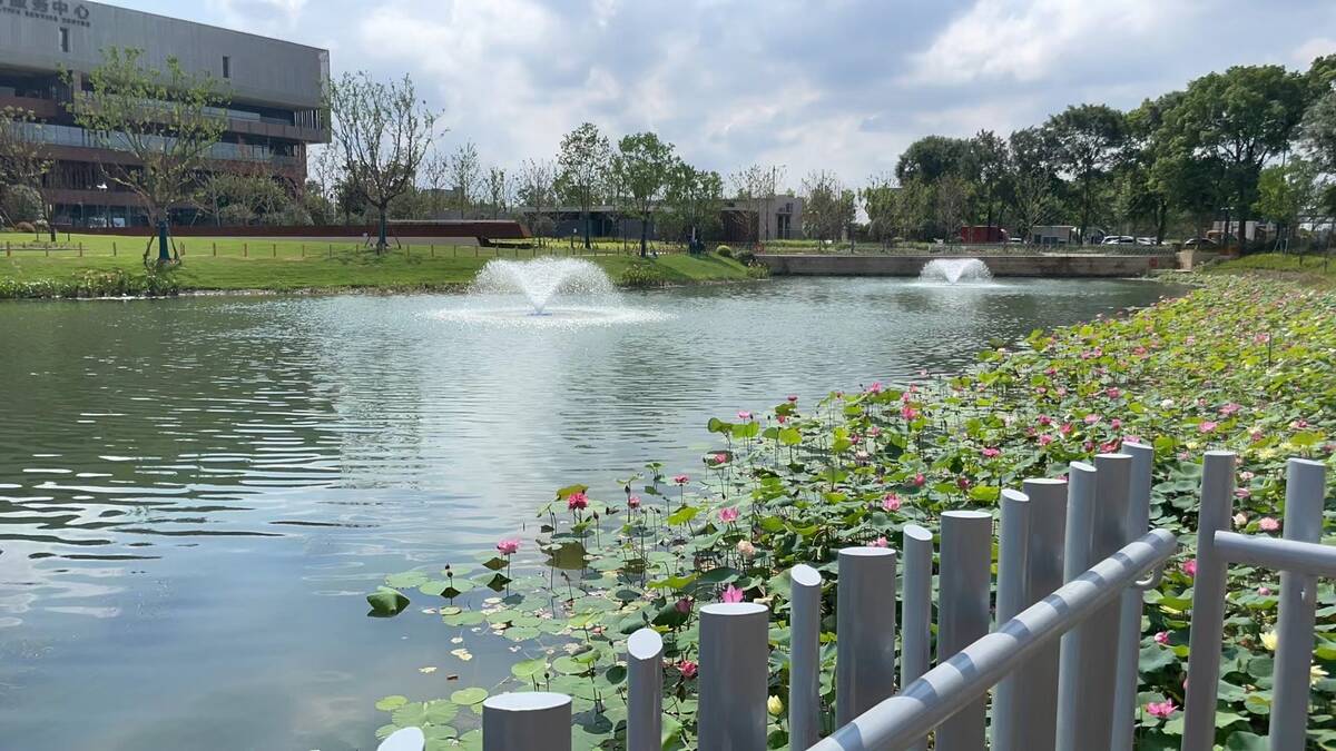 沪嘉高速口公园2.jpg