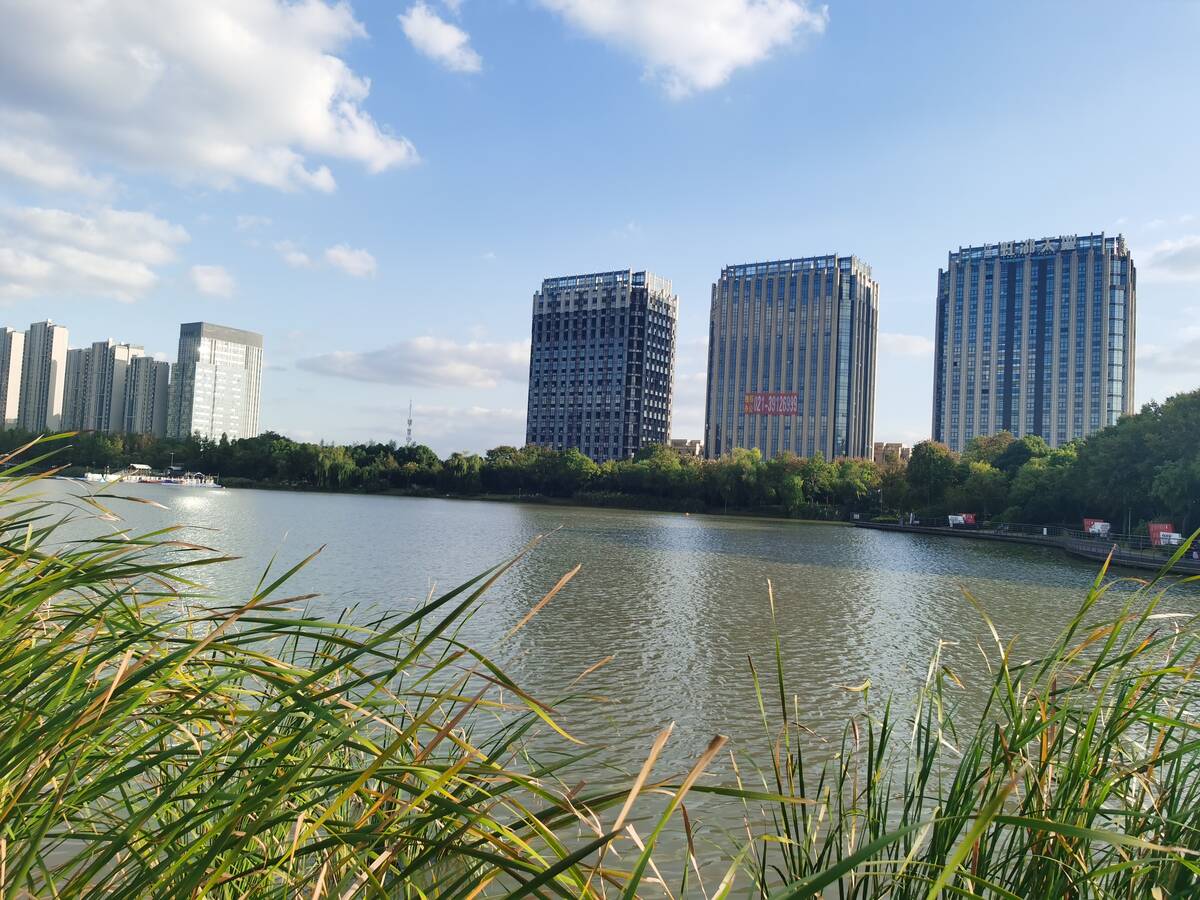 银翔湖公园1.jpg