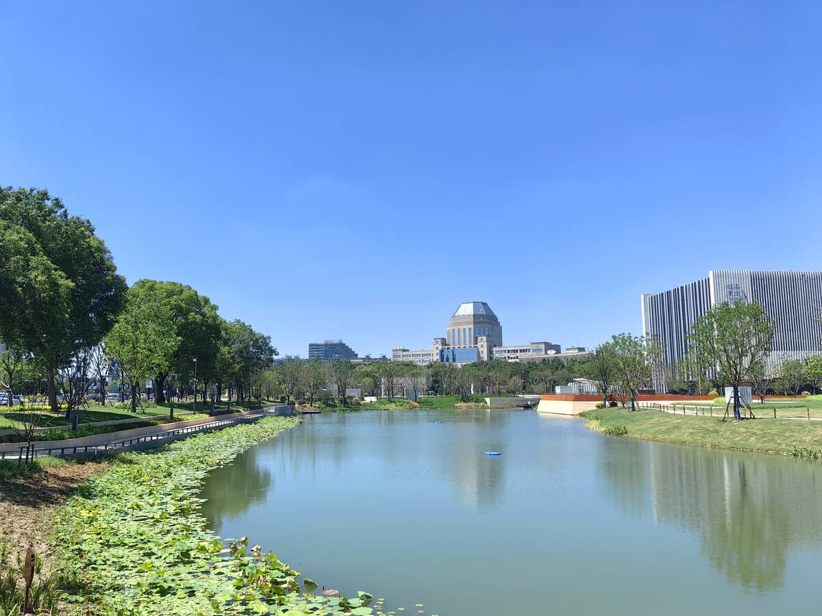沪嘉高速口公园.jpg