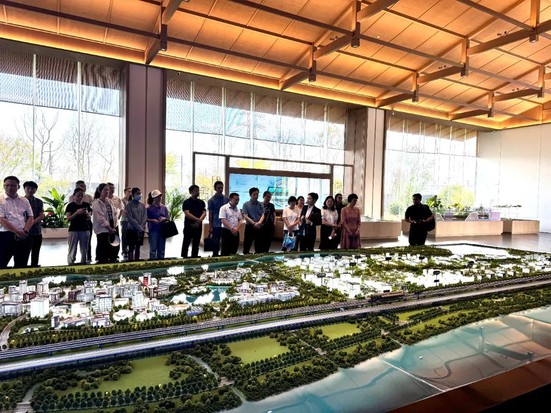 政府开放月活动:公众走近示范区,感受青浦蓬勃发展 .jpg 政府开放月活动:公众走近示范区,感受青浦蓬勃发展 .jpg