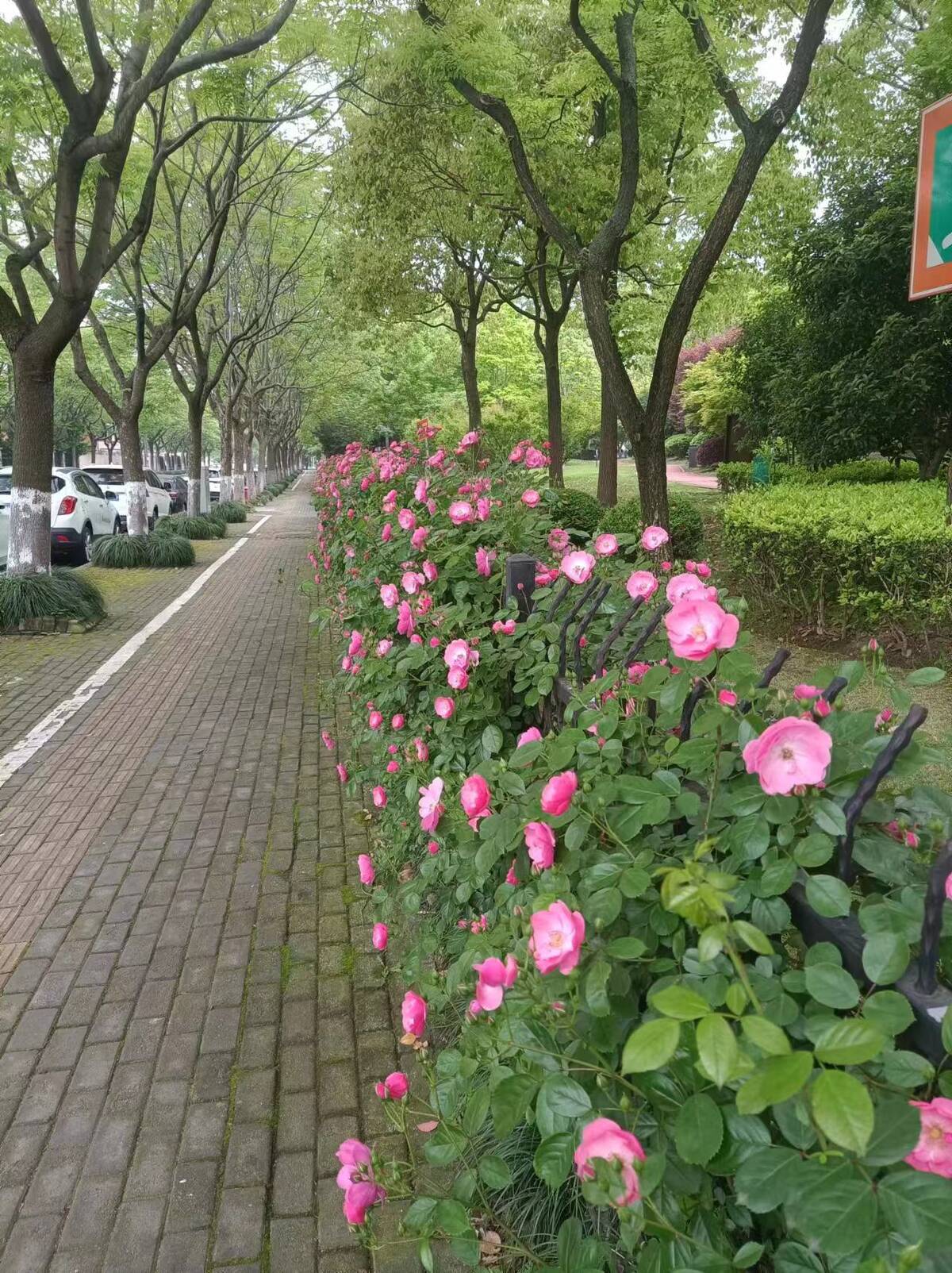 复华公园1.jpg