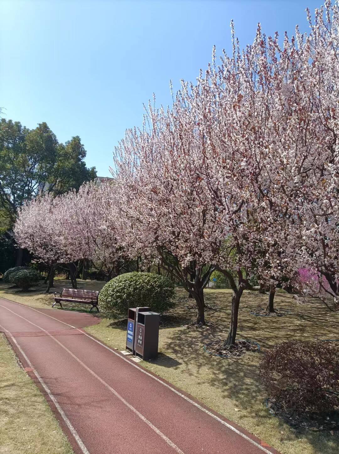 复华公园2.jpg