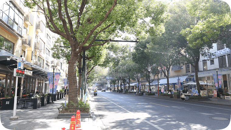 大学路