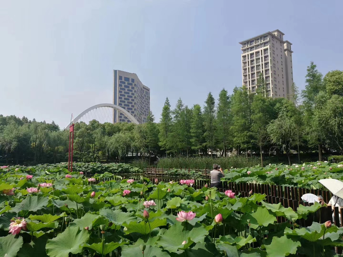 陈家山公园1.png