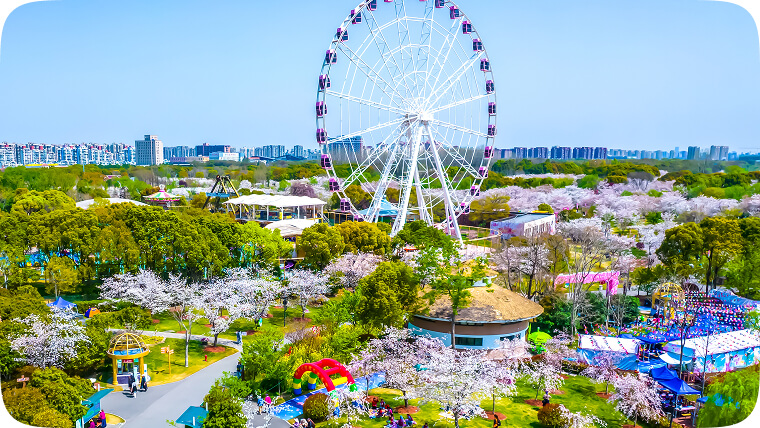 顾村公园