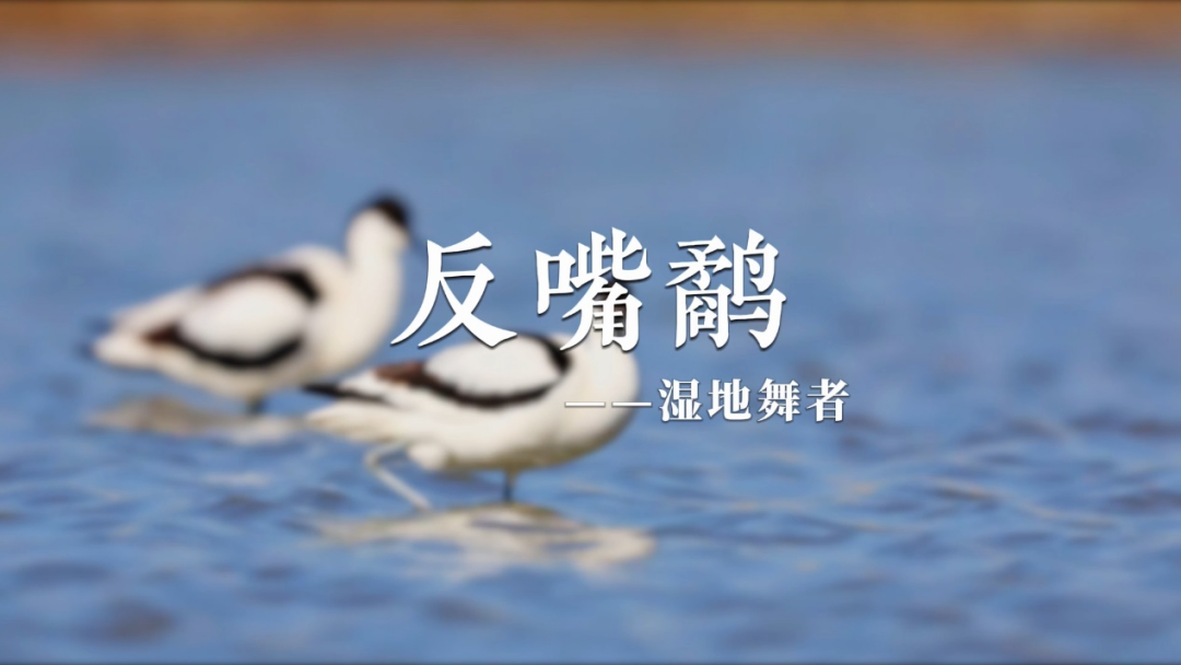 图13.png