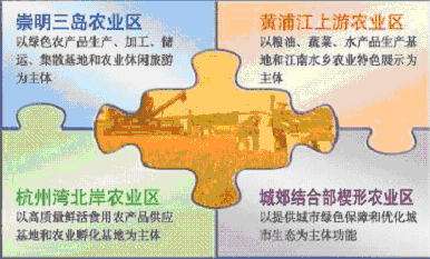 上海市国民经济和社会发展第十一个五年规划纲要（三）