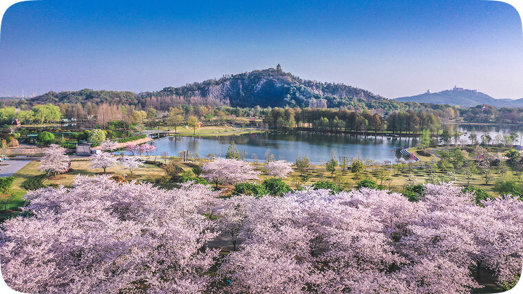 花园之城-辰山植物园
