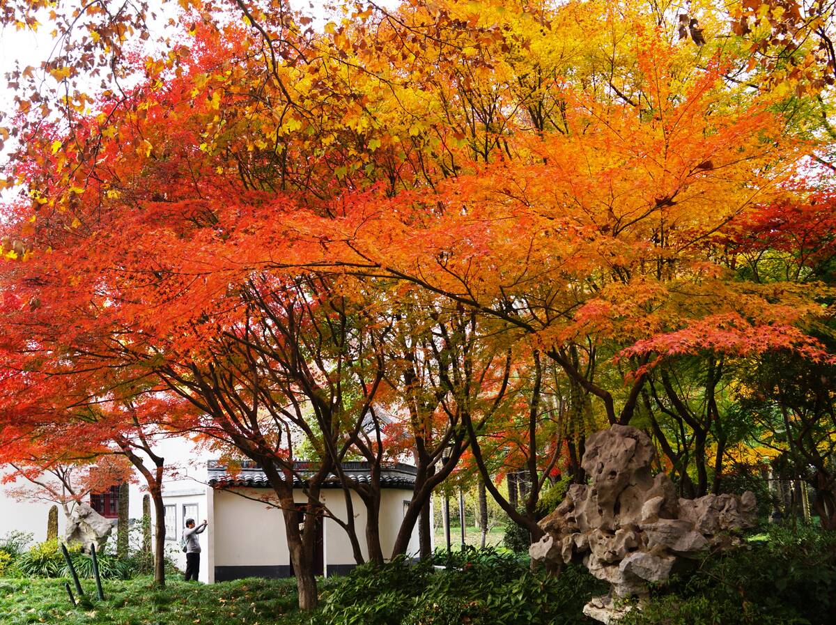 DSC05704.JPG
