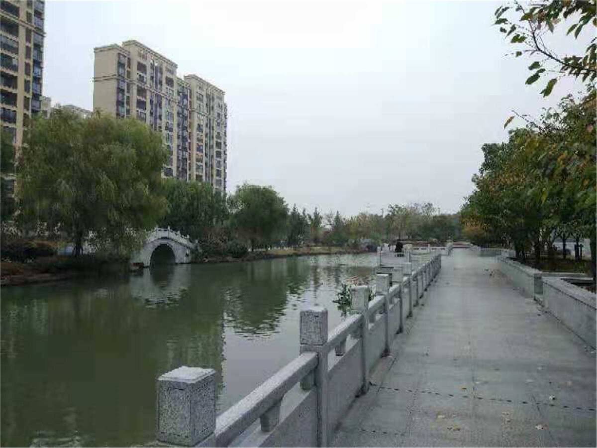 唐家浜2.jpg