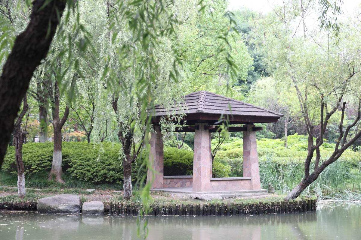 五月花公园2.JPG
