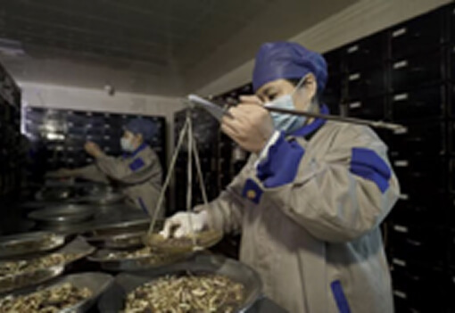 中药炮制技艺（雷允上毒性饮片炮制技术）