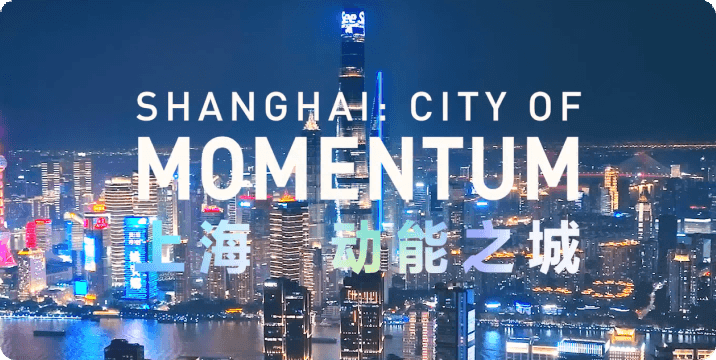 上海市产业地图